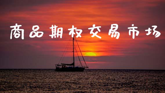 商品期权交易市场_https://m.jnlaobingbanjia.com_理财规划_第1张