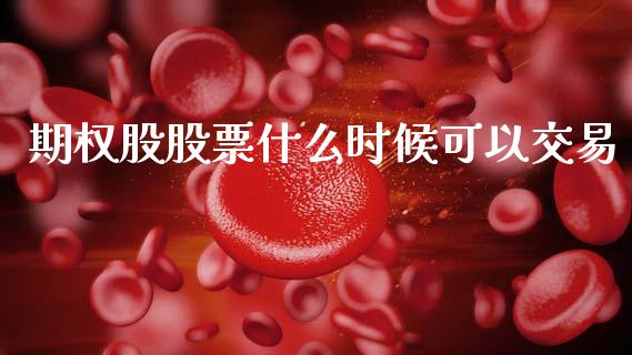 期权股股票什么时候可以交易_https://m.jnlaobingbanjia.com_理财规划_第1张
