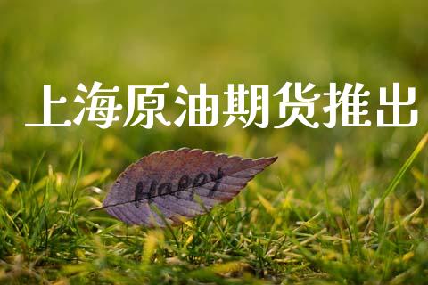 上海原油期货推出_https://m.jnlaobingbanjia.com_理财规划_第1张
