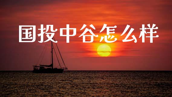 国投中谷怎么样_https://m.jnlaobingbanjia.com_理财规划_第1张