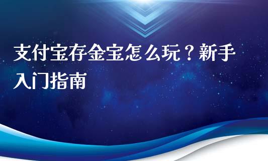 支付宝存金宝怎么玩？新手入门指南_https://m.jnlaobingbanjia.com_基金市场_第1张