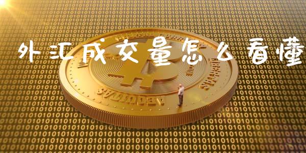 外汇成交量怎么看懂_https://m.jnlaobingbanjia.com_理财规划_第1张