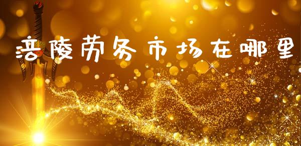 涪陵劳务市场在哪里_https://m.jnlaobingbanjia.com_金融监管_第1张