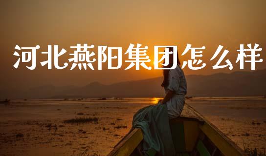 河北燕阳集团怎么样_https://m.jnlaobingbanjia.com_金融监管_第1张