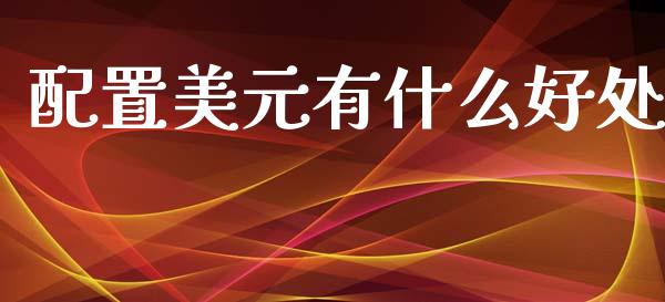 配置美元有什么好处_https://m.jnlaobingbanjia.com_基金市场_第1张