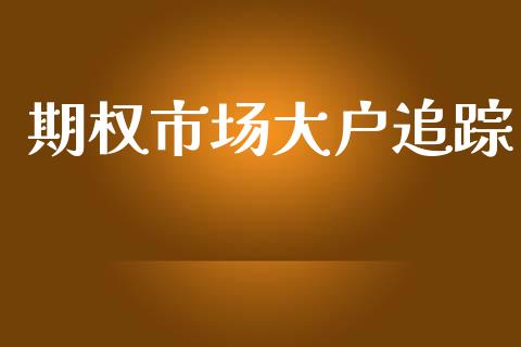 期权市场大户追踪_https://m.jnlaobingbanjia.com_全球市场_第1张