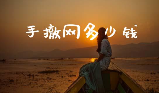 手撤网多少钱_https://m.jnlaobingbanjia.com_金融监管_第1张