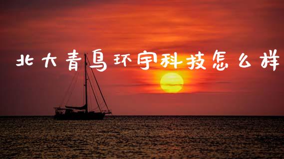 北大青鸟环宇科技怎么样_https://m.jnlaobingbanjia.com_基金市场_第1张