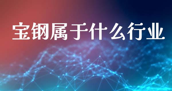 宝钢属于什么行业_https://m.jnlaobingbanjia.com_基金市场_第1张