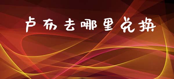 卢布去哪里兑换_https://m.jnlaobingbanjia.com_金融监管_第1张