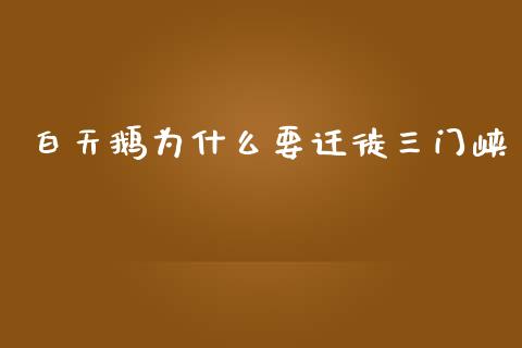白天鹅为什么要迁徙三门峡_https://m.jnlaobingbanjia.com_金融监管_第1张
