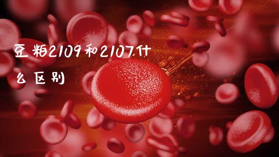 豆粕2109和2107什么区别_https://m.jnlaobingbanjia.com_区块链_第1张