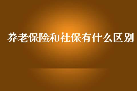 养老保险和社保有什么区别_https://m.jnlaobingbanjia.com_金融监管_第1张