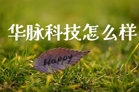华脉科技怎么样_https://m.jnlaobingbanjia.com_股市新闻_第1张