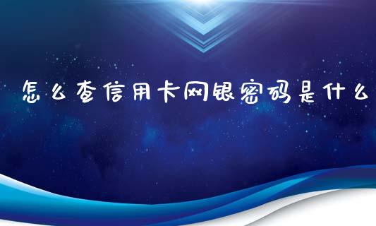 怎么查信用卡网银密码是什么_https://m.jnlaobingbanjia.com_股市新闻_第1张