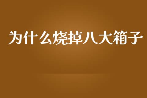 为什么烧掉八大箱子_https://m.jnlaobingbanjia.com_理财规划_第1张