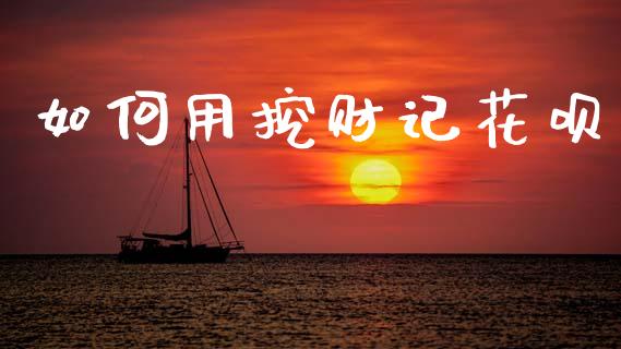 如何用挖财记花呗_https://m.jnlaobingbanjia.com_股市新闻_第1张
