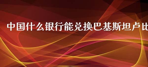 中国什么银行能兑换巴基斯坦卢比_https://m.jnlaobingbanjia.com_理财规划_第1张
