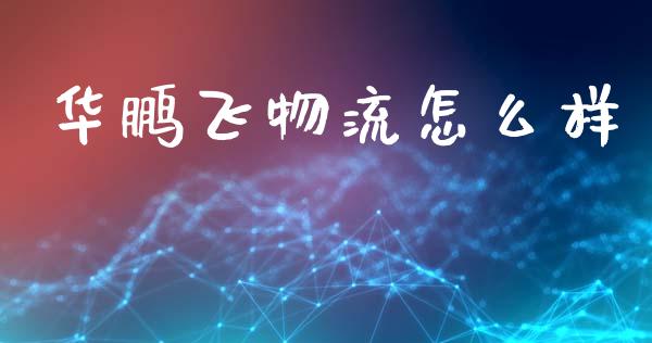 华鹏飞物流怎么样_https://m.jnlaobingbanjia.com_基金市场_第1张