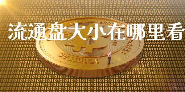流通盘大小在哪里看_https://m.jnlaobingbanjia.com_理财规划_第1张