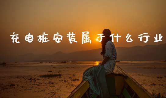 充电桩安装属于什么行业_https://m.jnlaobingbanjia.com_全球市场_第1张