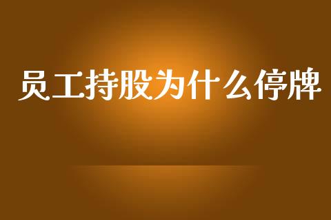 员工持股为什么停牌_https://m.jnlaobingbanjia.com_理财规划_第1张