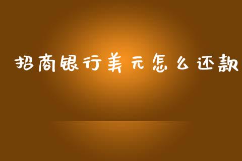招商银行美元怎么还款_https://m.jnlaobingbanjia.com_基金市场_第1张