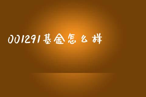 001291基金怎么样_https://m.jnlaobingbanjia.com_股市新闻_第1张