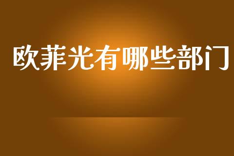 欧菲光有哪些部门_https://m.jnlaobingbanjia.com_金融监管_第1张