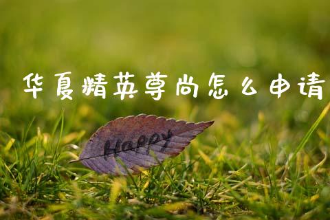 华夏精英尊尚怎么申请_https://m.jnlaobingbanjia.com_区块链_第1张