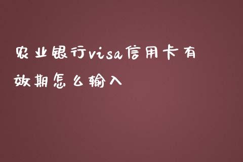 农业银行visa信用卡有效期怎么输入_https://m.jnlaobingbanjia.com_股市新闻_第1张