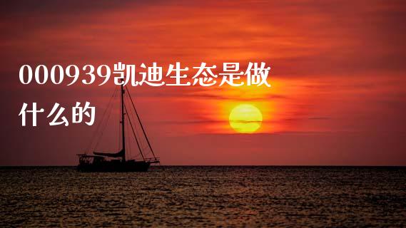 000939凯迪生态是做什么的_https://m.jnlaobingbanjia.com_理财规划_第1张