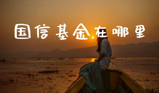 国信基金在哪里_https://m.jnlaobingbanjia.com_全球市场_第1张