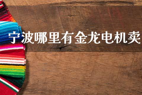 宁波哪里有金龙电机卖_https://m.jnlaobingbanjia.com_股市新闻_第1张