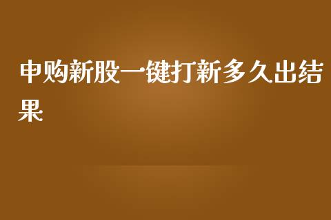 申购新股一键打新多久出结果_https://m.jnlaobingbanjia.com_金融监管_第1张