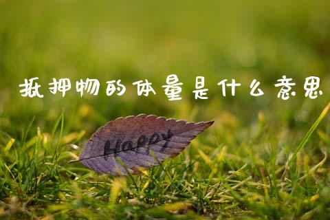 抵押物的体量是什么意思_https://m.jnlaobingbanjia.com_金融监管_第1张