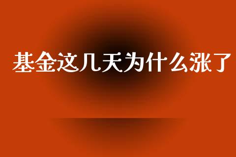 基金这几天为什么涨了_https://m.jnlaobingbanjia.com_基金市场_第1张