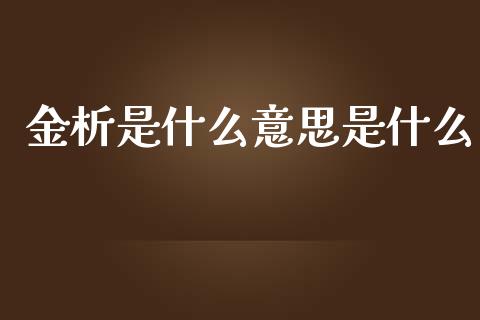 金析是什么意思是什么_https://m.jnlaobingbanjia.com_金融监管_第1张