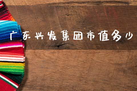 广东兴发集团市值多少_https://m.jnlaobingbanjia.com_股市新闻_第1张