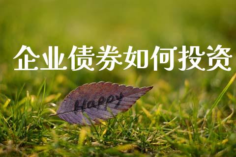 企业债券如何投资_https://m.jnlaobingbanjia.com_全球市场_第1张