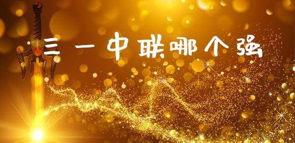 三一中联哪个强_https://m.jnlaobingbanjia.com_基金市场_第1张