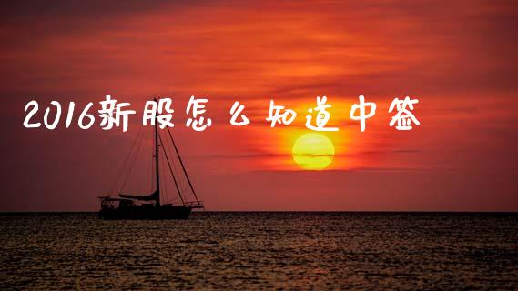 2016新股怎么知道中签_https://m.jnlaobingbanjia.com_基金市场_第1张