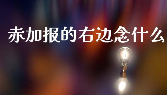 赤加报的右边念什么_https://m.jnlaobingbanjia.com_理财规划_第1张