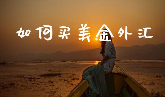 如何买美金外汇_https://m.jnlaobingbanjia.com_股市新闻_第1张