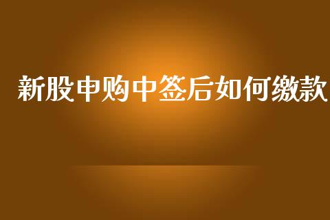新股申购中签后如何缴款_https://m.jnlaobingbanjia.com_基金市场_第1张