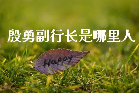 殷勇副行长是哪里人_https://m.jnlaobingbanjia.com_全球市场_第1张