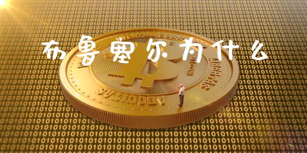 布鲁塞尔为什么_https://m.jnlaobingbanjia.com_金融监管_第1张