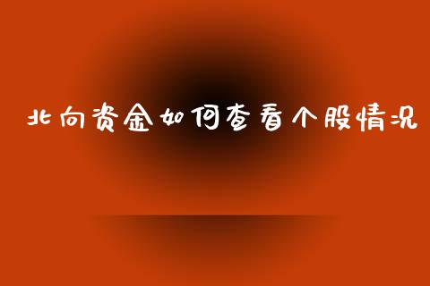 北向资金如何查看个股情况_https://m.jnlaobingbanjia.com_金融监管_第1张