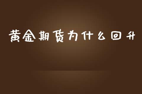 黄金期货为什么回升_https://m.jnlaobingbanjia.com_基金市场_第1张