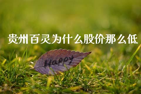 贵州百灵为什么股价那么低_https://m.jnlaobingbanjia.com_理财规划_第1张